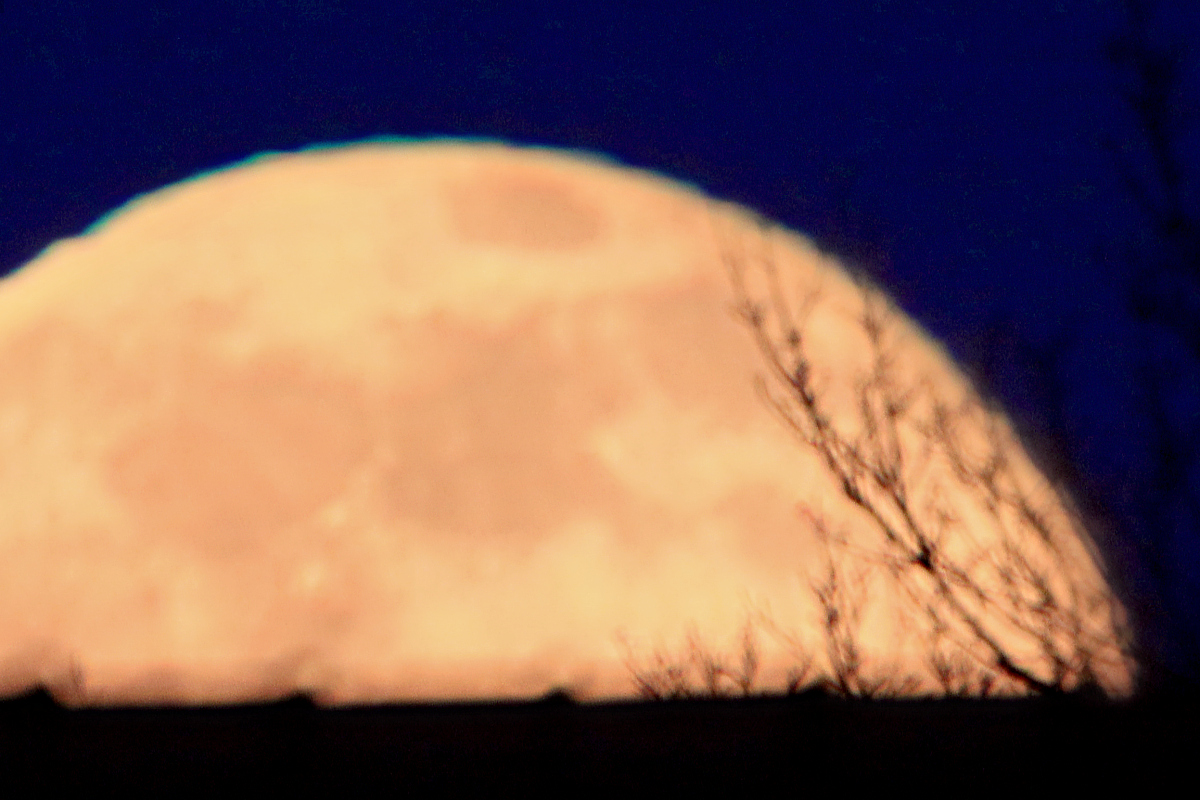 MVI_9740_f153  n.jpg