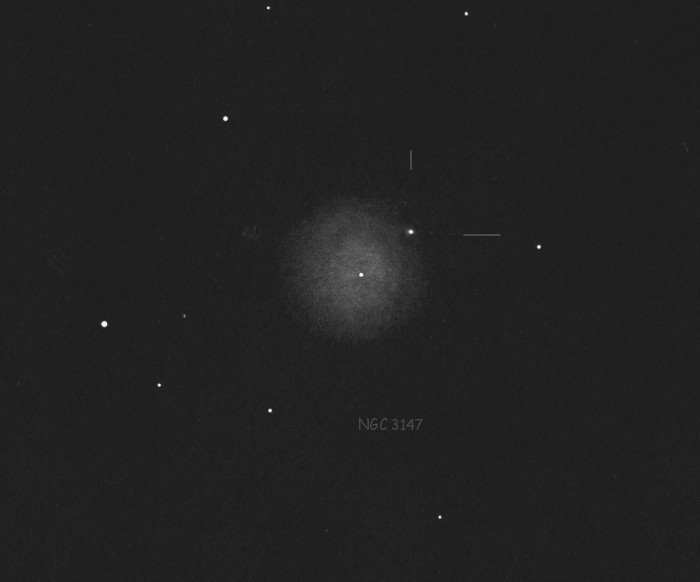 N3147xSN2021hprCN.jpg