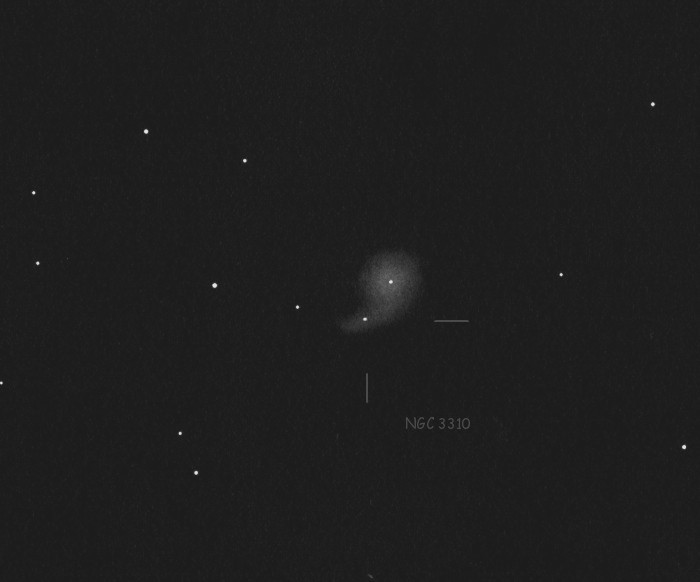 N3310xSN2021gmjCN.jpg