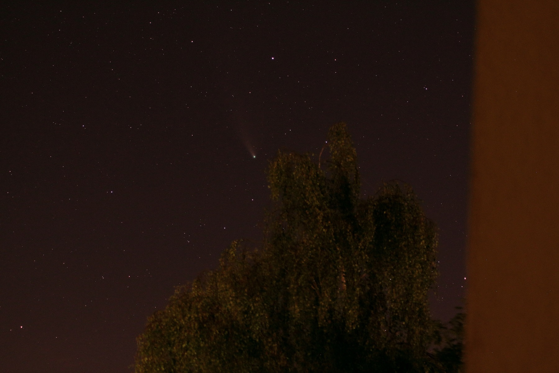 Neowise-25072020-70mm-kl.jpg