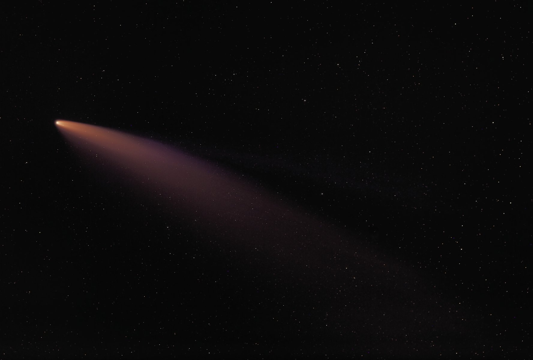 Neowise 55FL final2 web.jpg