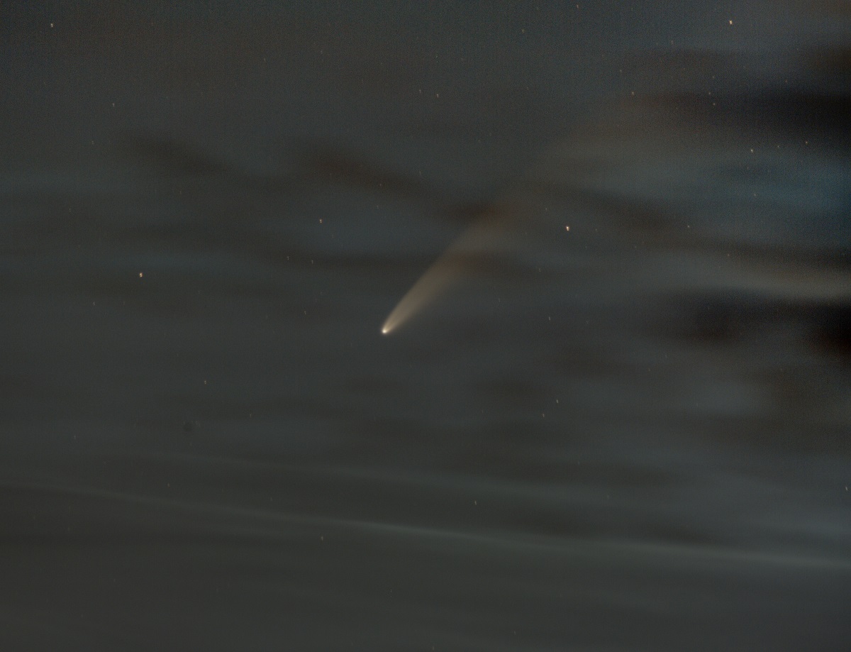 Neowise-final-kl-1.jpg