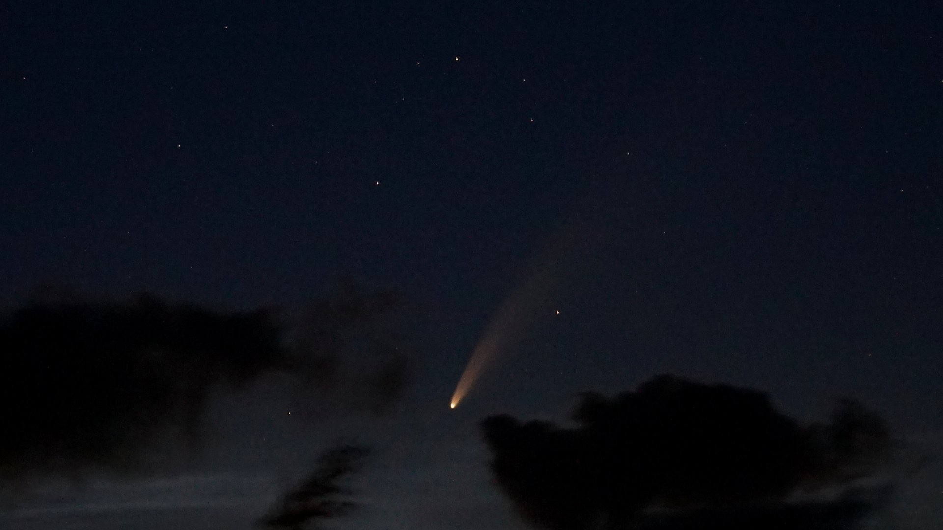 NEOWISE.jpg