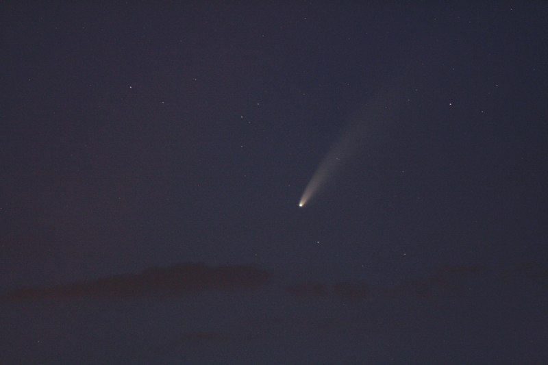 neowise.jpg