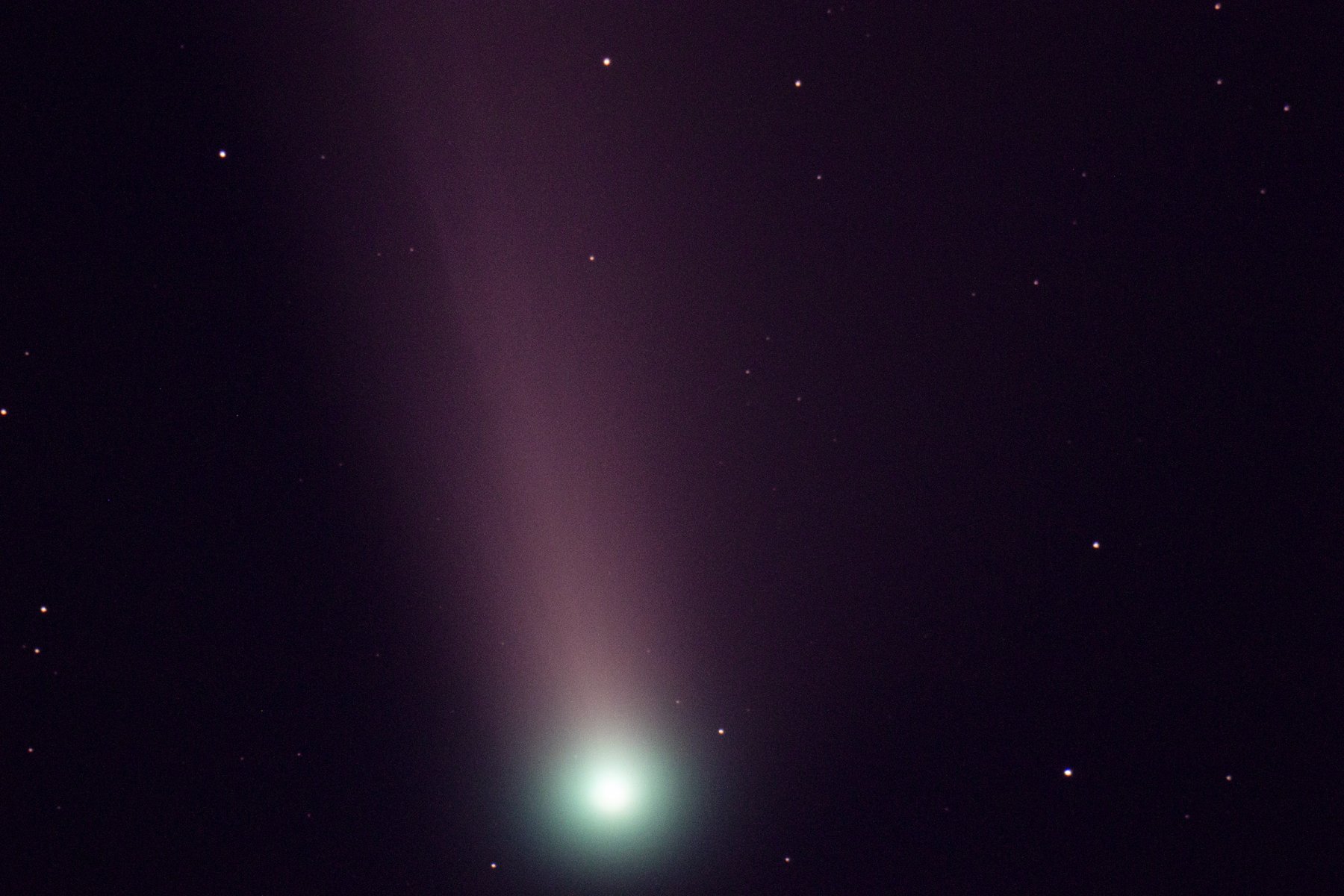 Neowise.jpg
