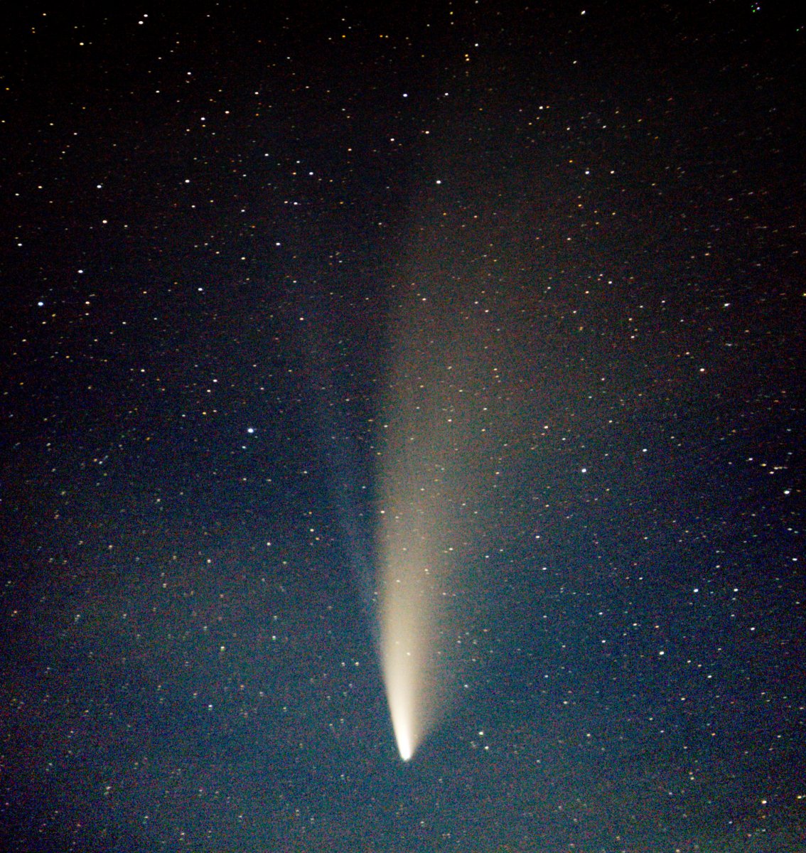 Neowise.jpg