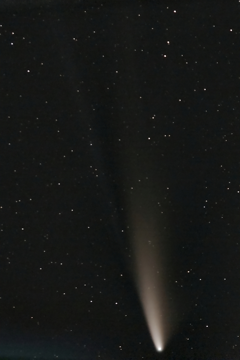 neowise la_15 2 for.jpg