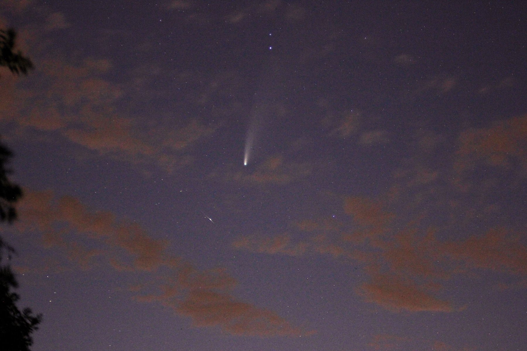neowise-meteor-aufgehellt.jpg