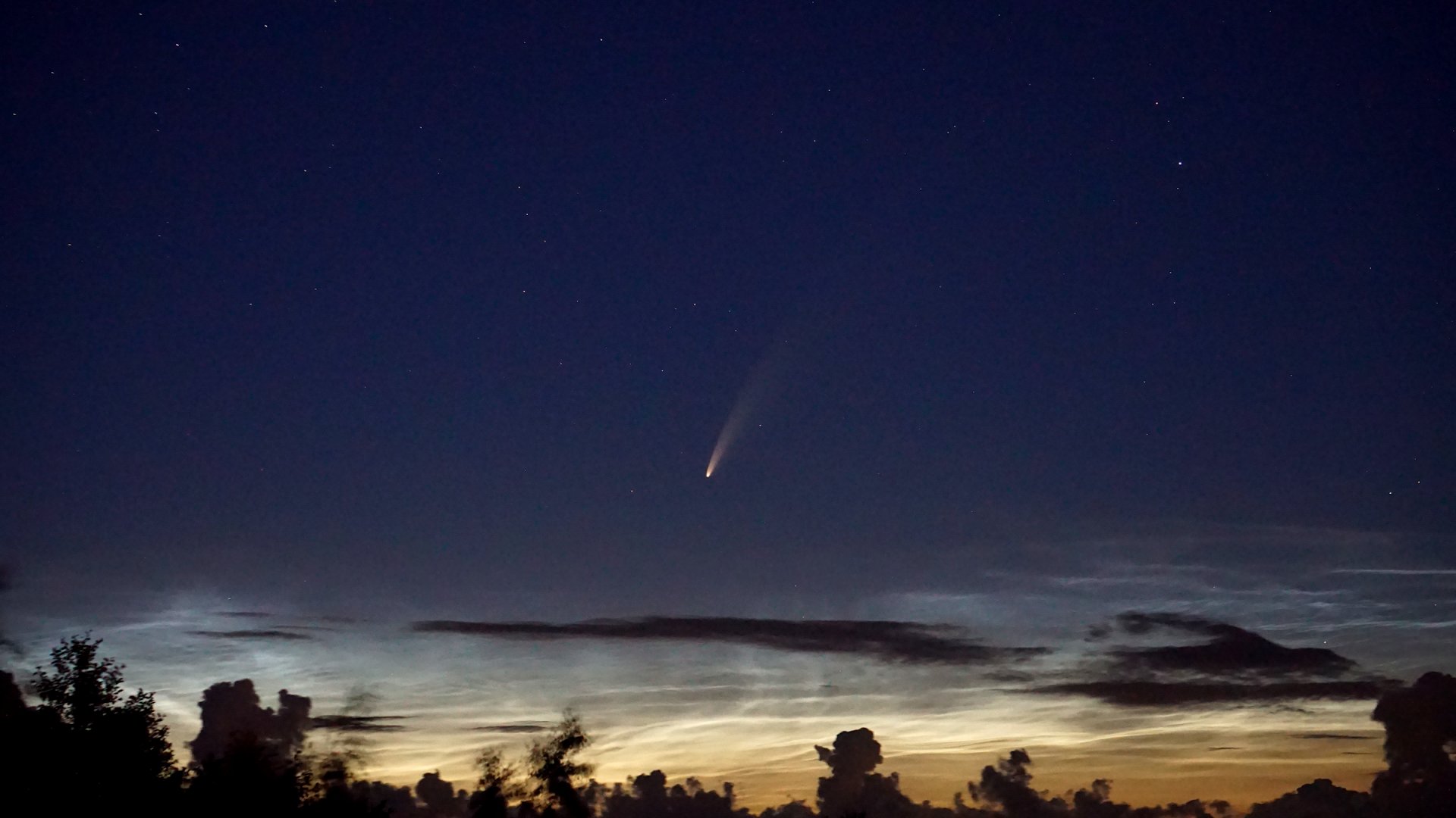 NEOWISE_02.jpg