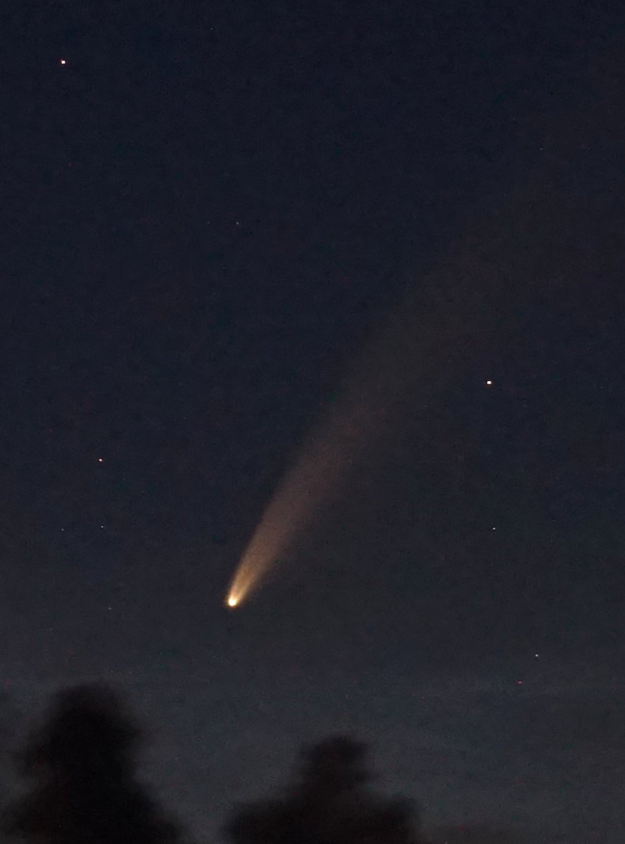 NEOWISE_105mm_best.jpg