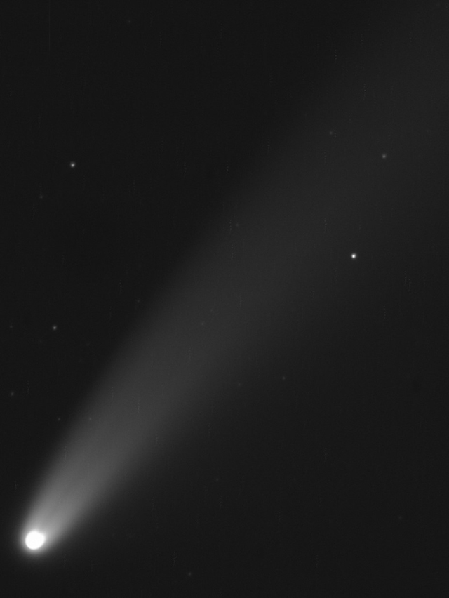 Neowise_40x1_Mücke_a_de.jpg