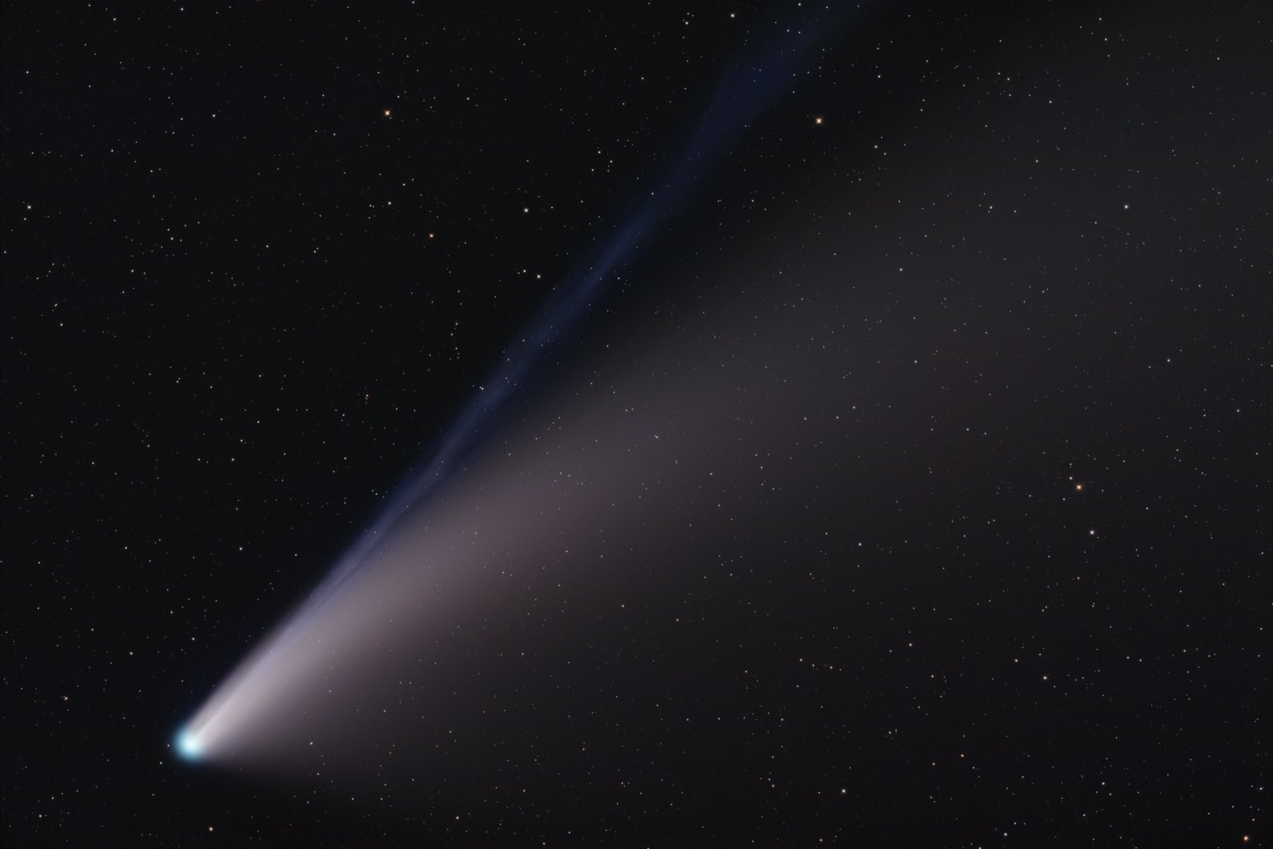 neowise_Epsilon_Final_Large.jpg