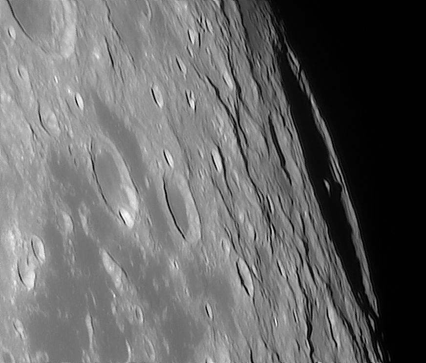 neper_171024_234640c.jpg
