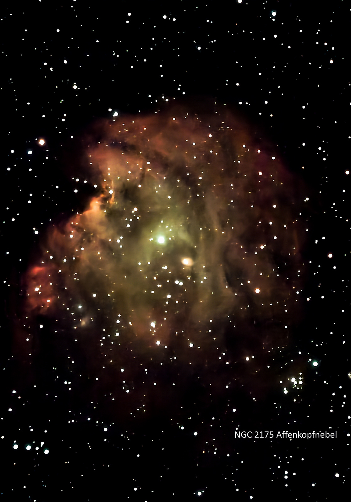NGC 2175 Affenkopfnebel.jpg