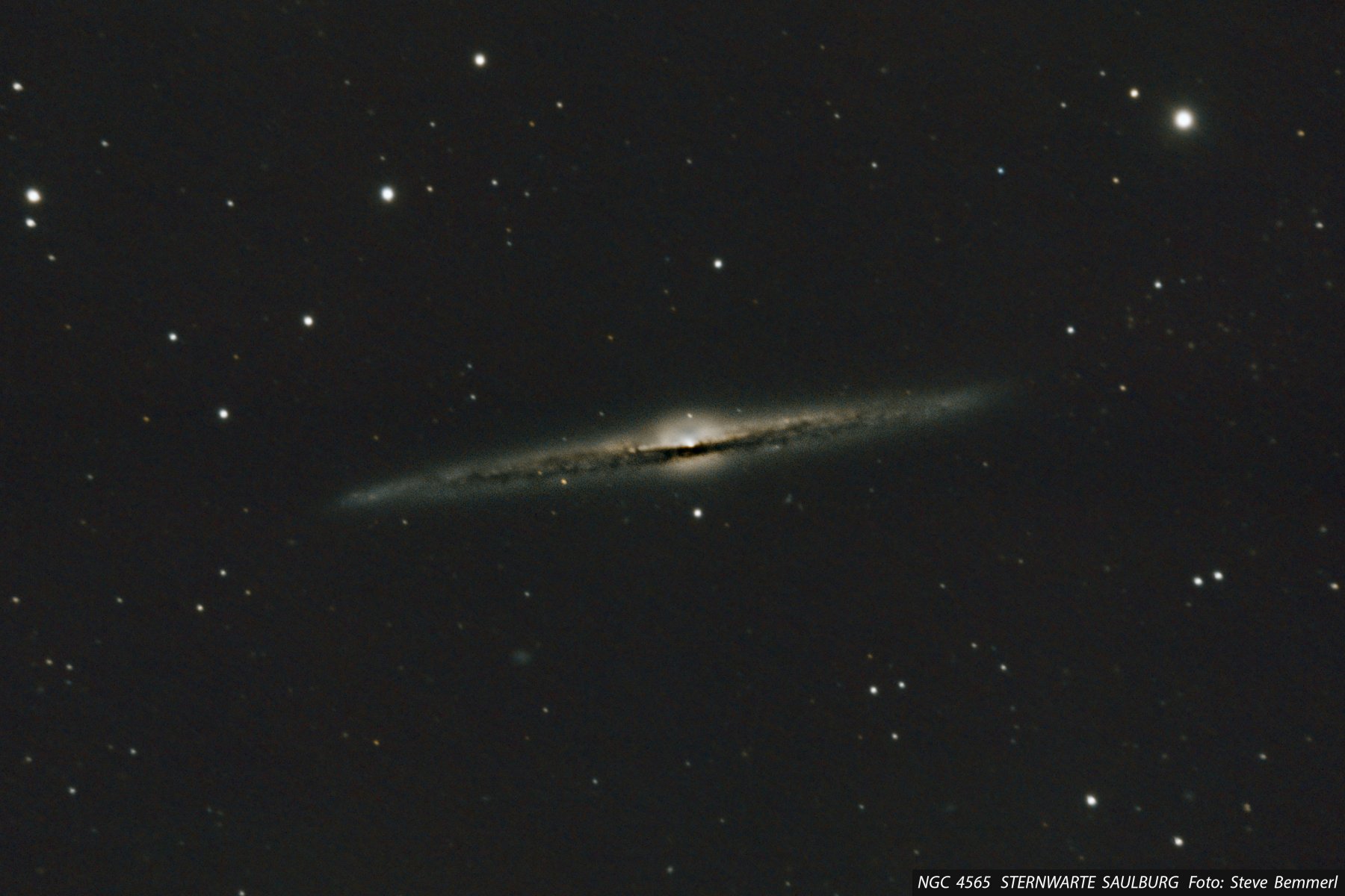 NGC 4565.jpg