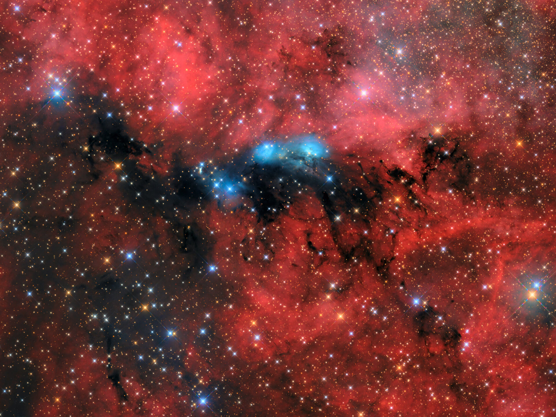 NGC 6914 1.jpg