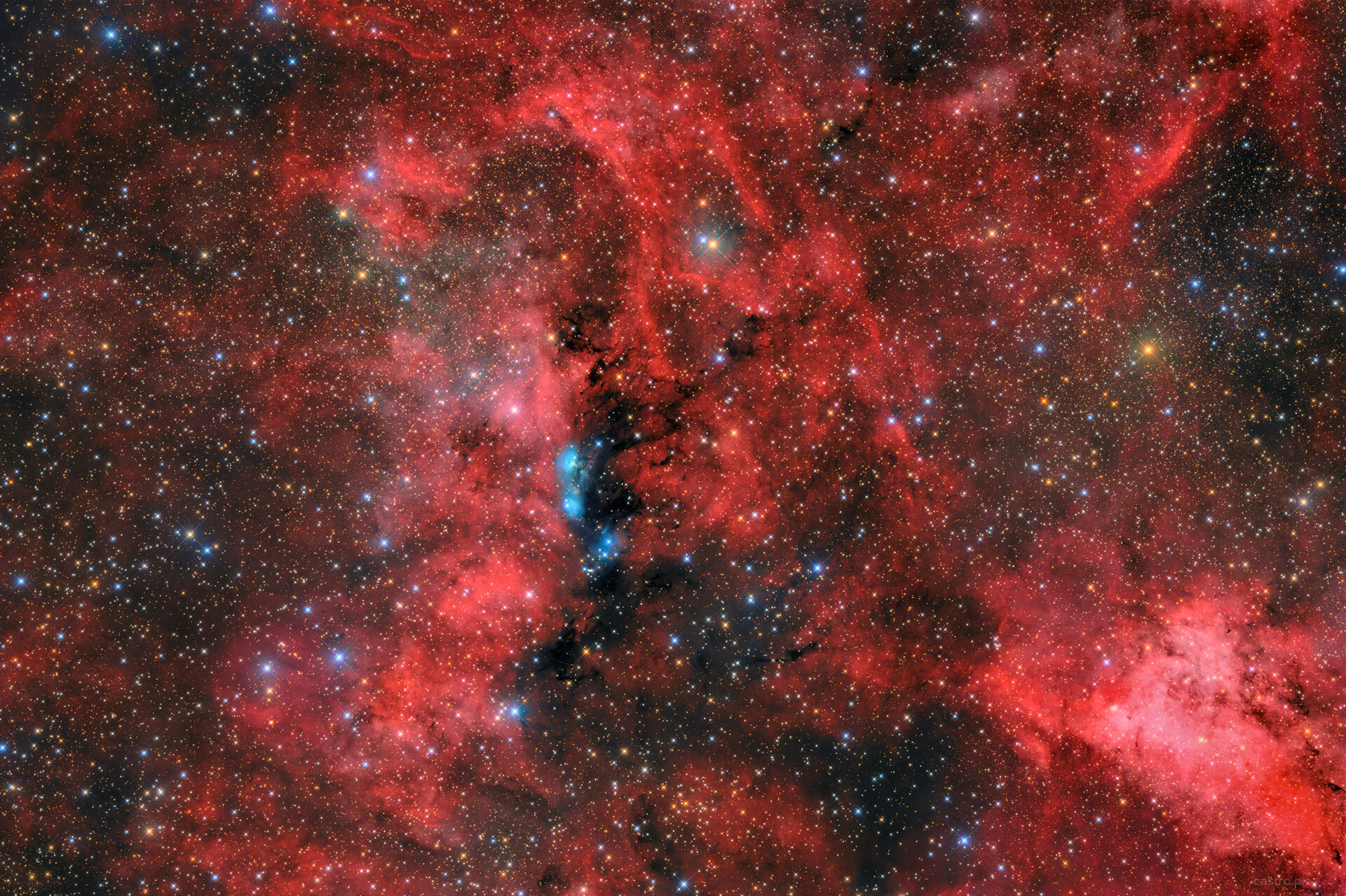 NGC 6914.jpg