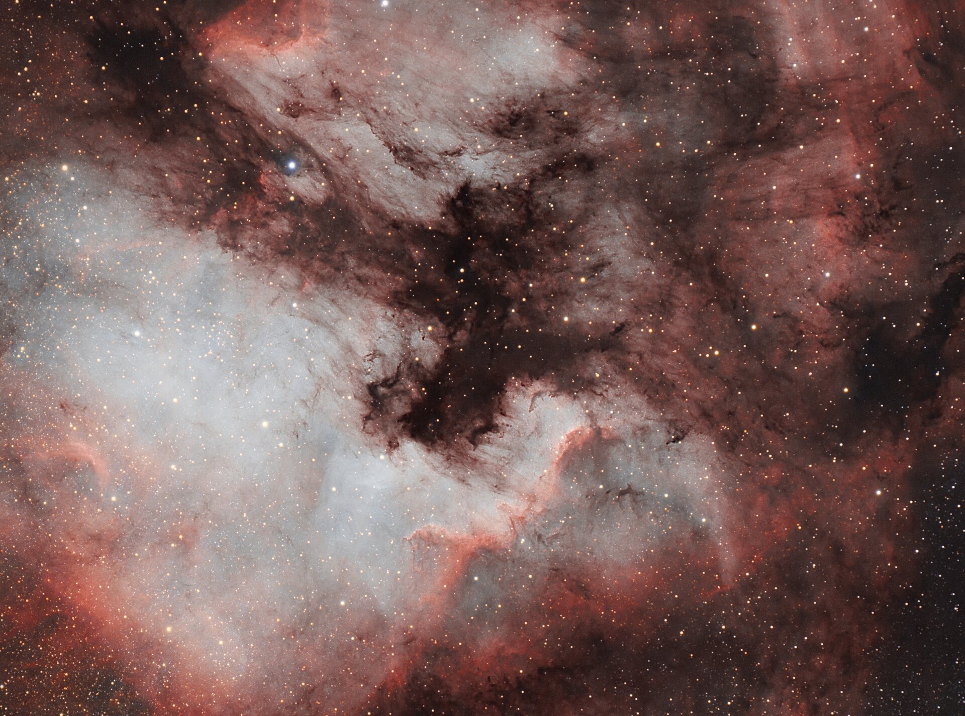 NGC 7000 - Nordamerikanebel - 11.09.2026.jpeg