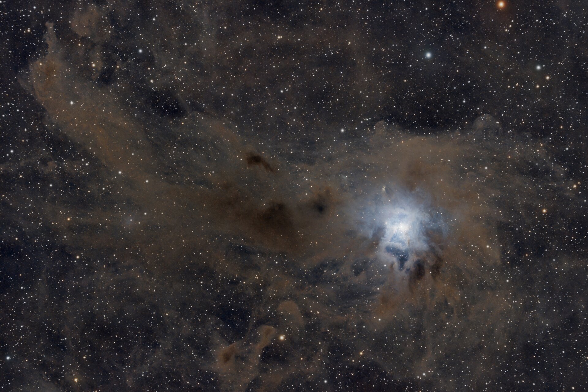 NGC 7023 - Irisnebel - 13.08.2026.jpeg