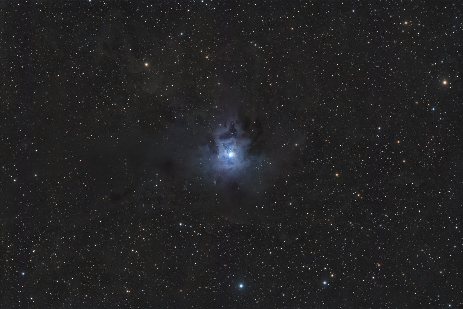NGC 7023 -Irisnebel 24Mp.JPEG