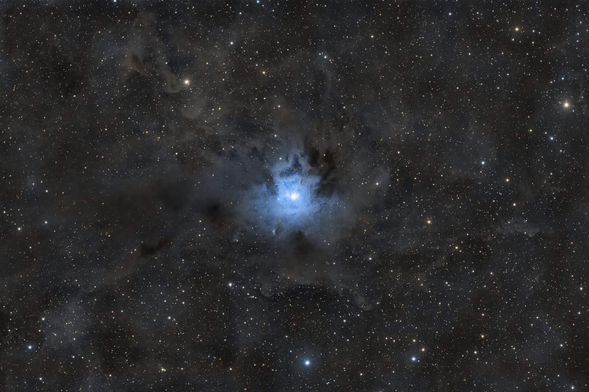 NGC 7023 -Irisnebel v2 24Mp.jpg