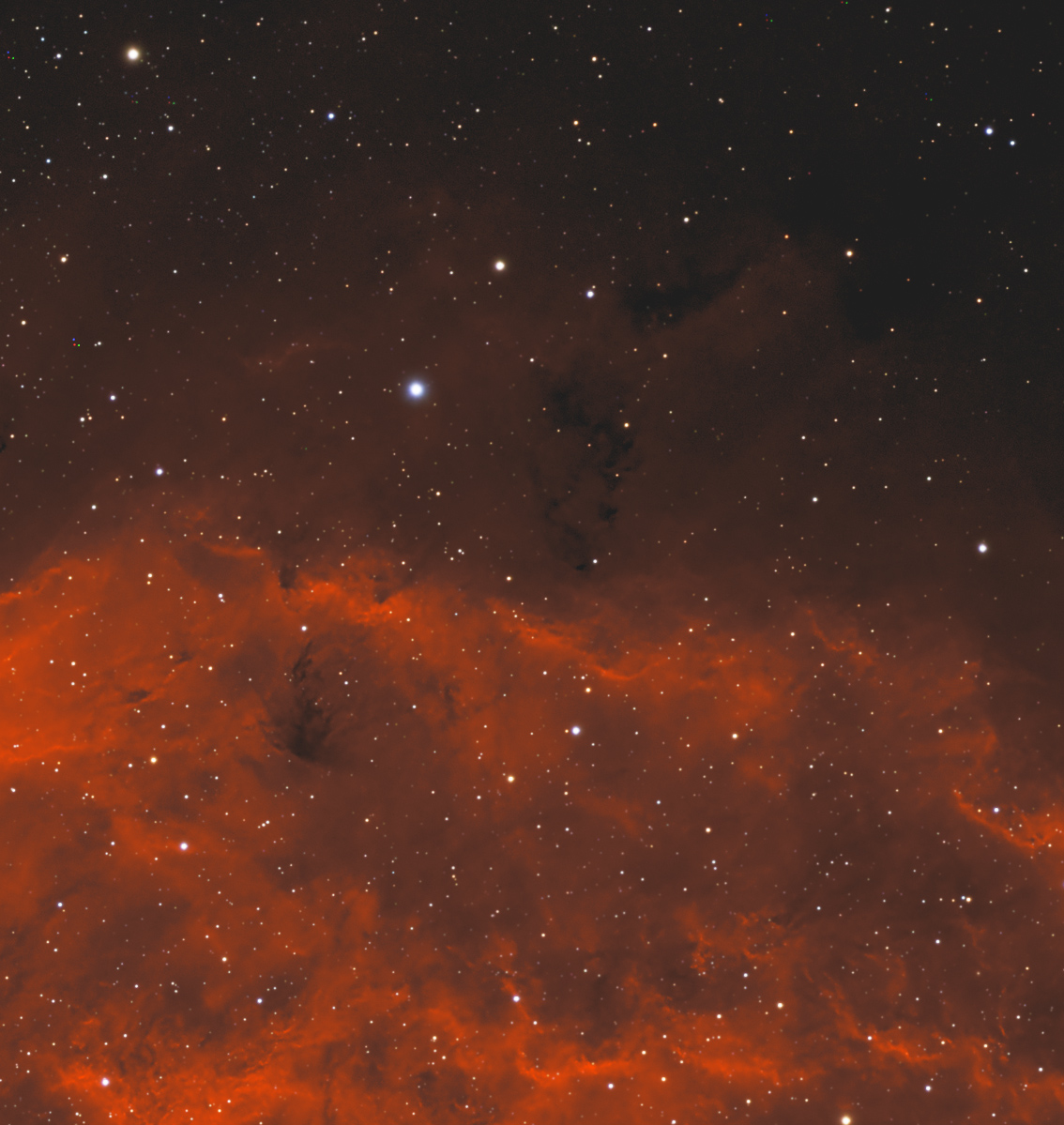 NGC1499crop.jpg