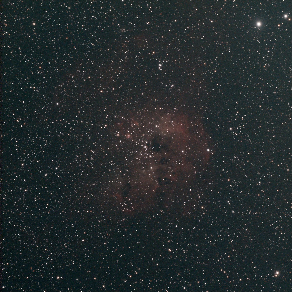 NGC1893 38x30s Apo102f4.6 ASI533 gain 120 L-Pro resized.jpg