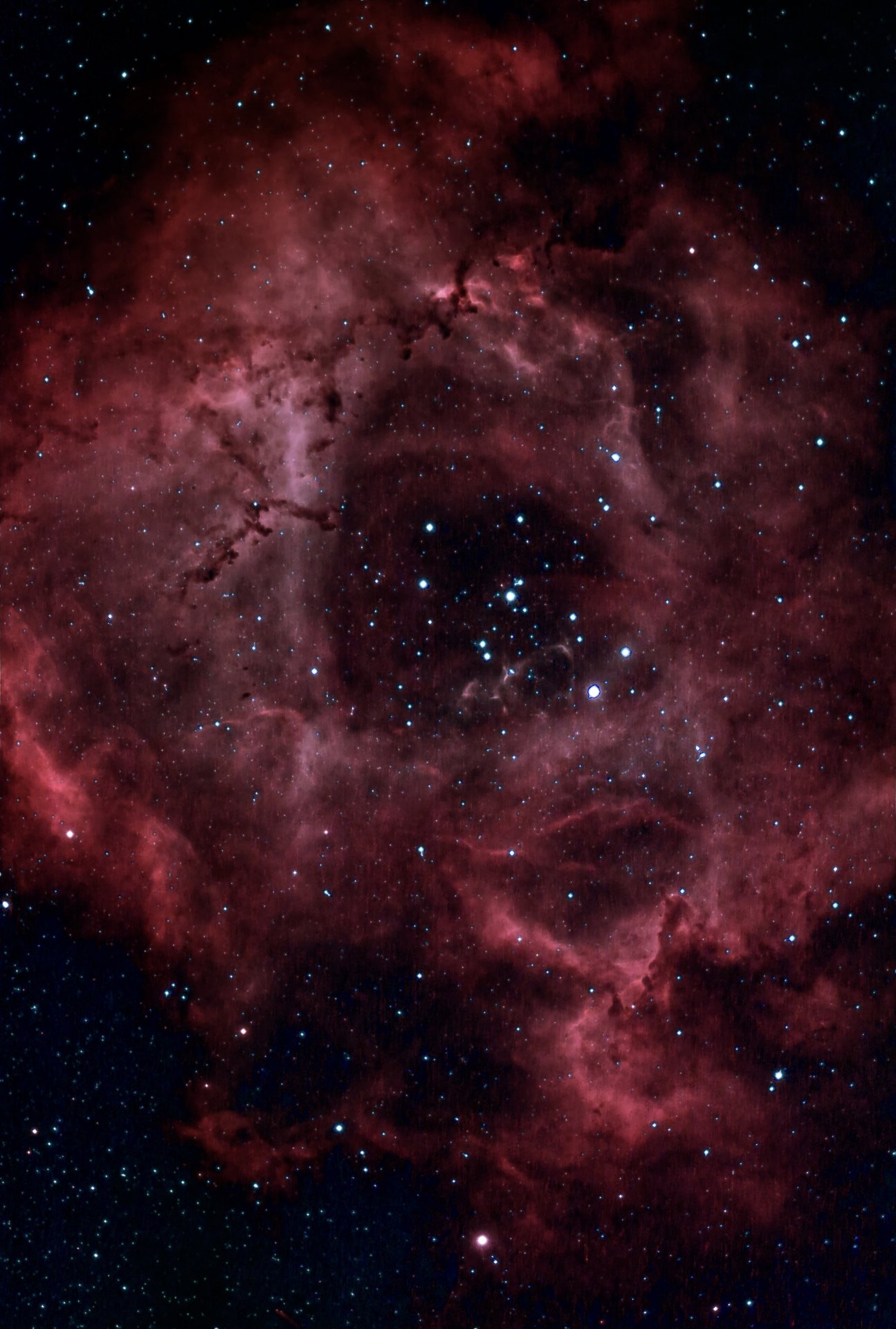 NGC2237_20240109.jpeg