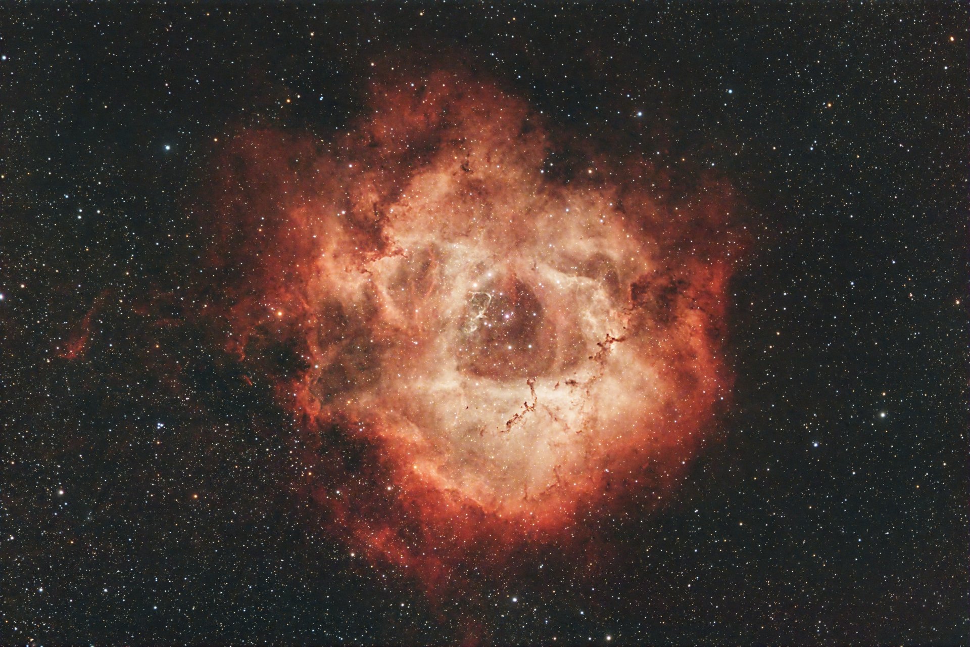 NGC2244.jpg