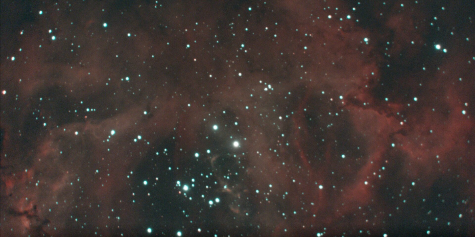 NGC2244.jpg
