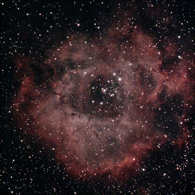 NGC2244 OlifASI533UHC-L_24frames_768s_resized.jpg