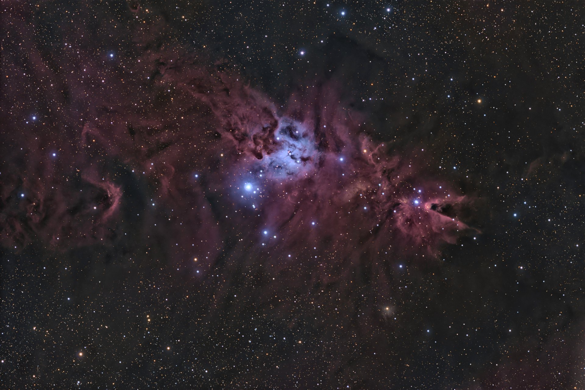 NGC2264_20250506-2_CFFAP900.jpg