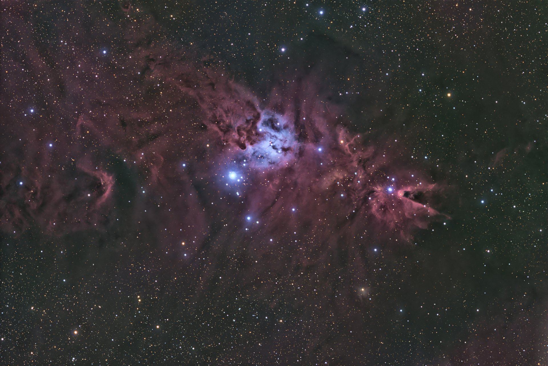 NGC2264_20250506_CFFAP900.jpg