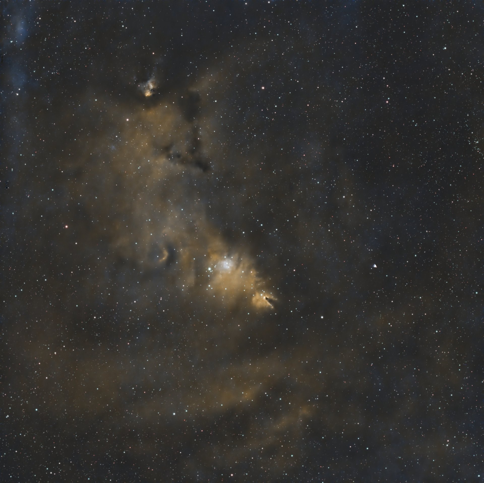NGC2264_NBZII_HOO.jpeg