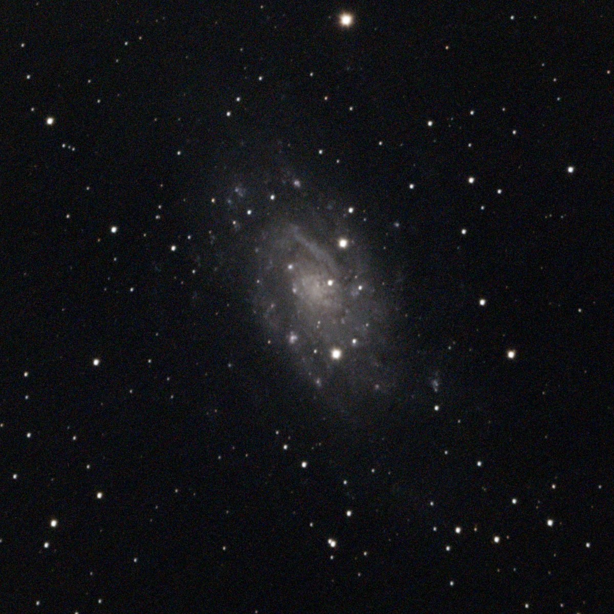 NGC2403 40x30s Apo102f7.6 ASI676 gain 120 cropresized.jpg