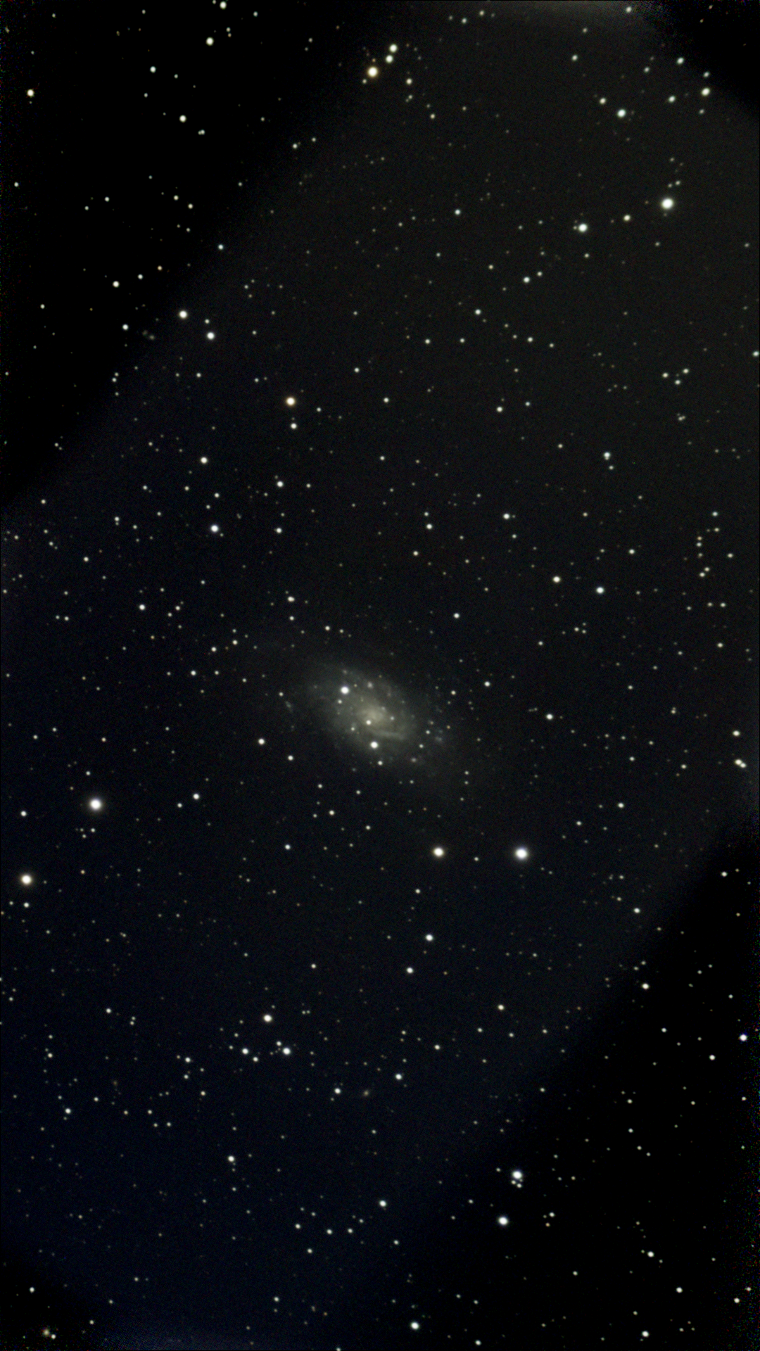 NGC2403.png