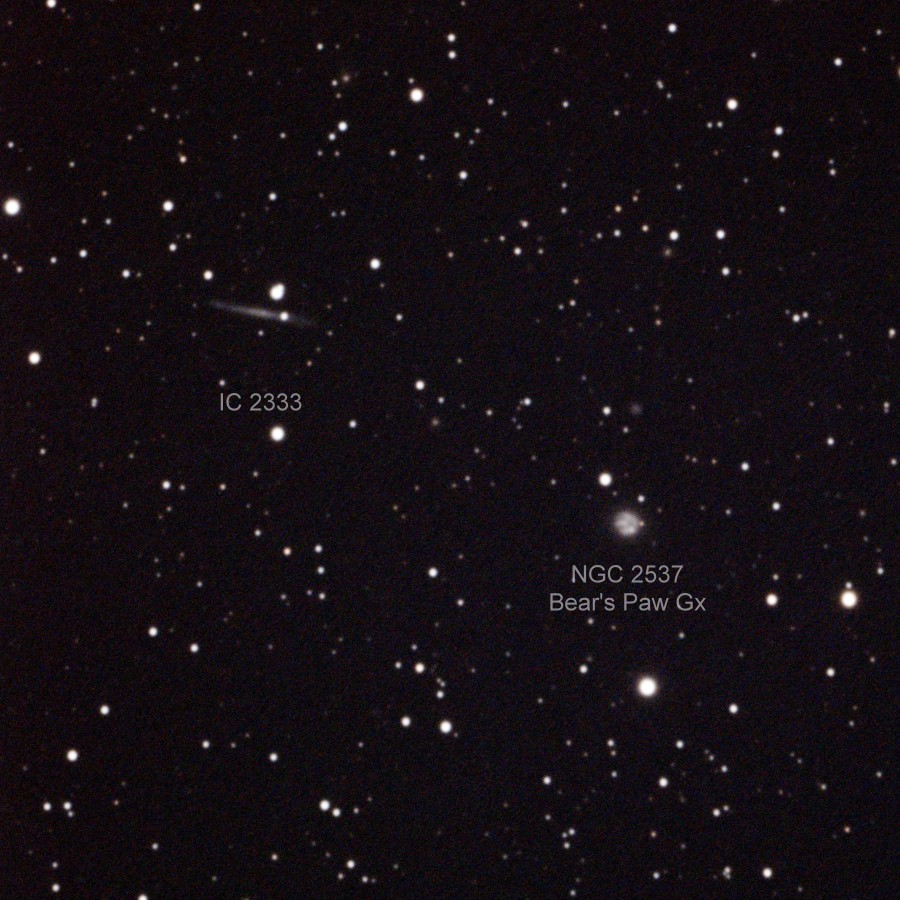 NGC2537 IC2333 Apo102ASI676_24frames_768s_ANNOT.jpg