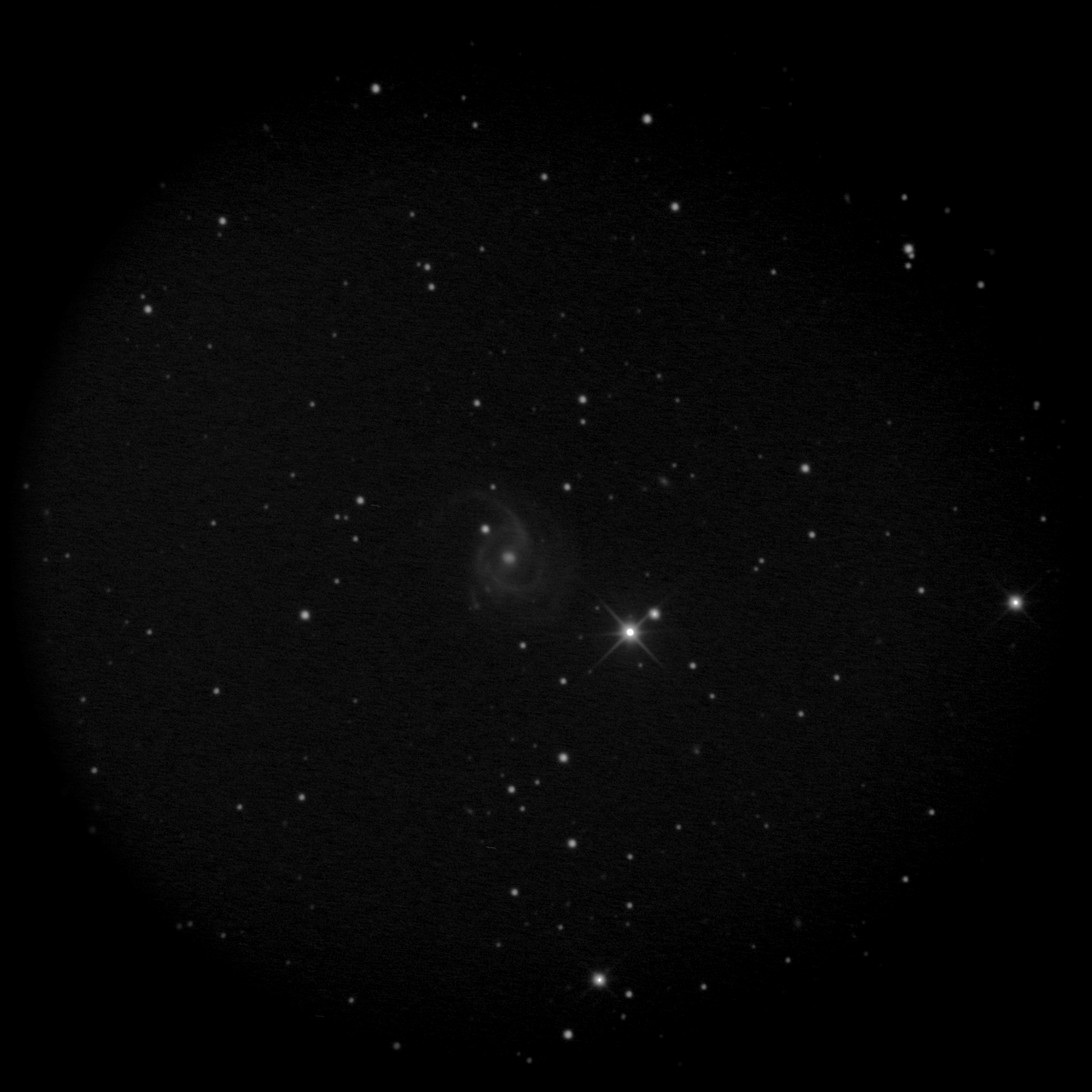 NGC2595_113x5sec_Stack_000261_0019.png