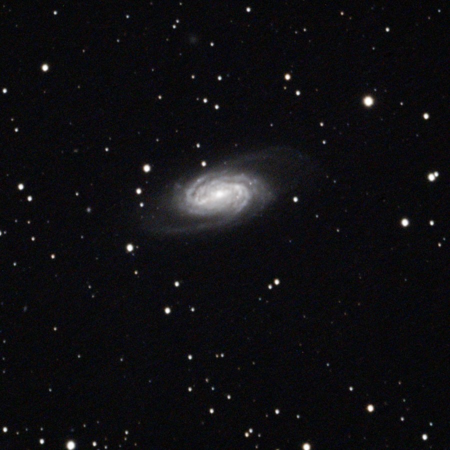 NGC2903 Apo102ASI676_38frames_1216s_cropresized.jpg