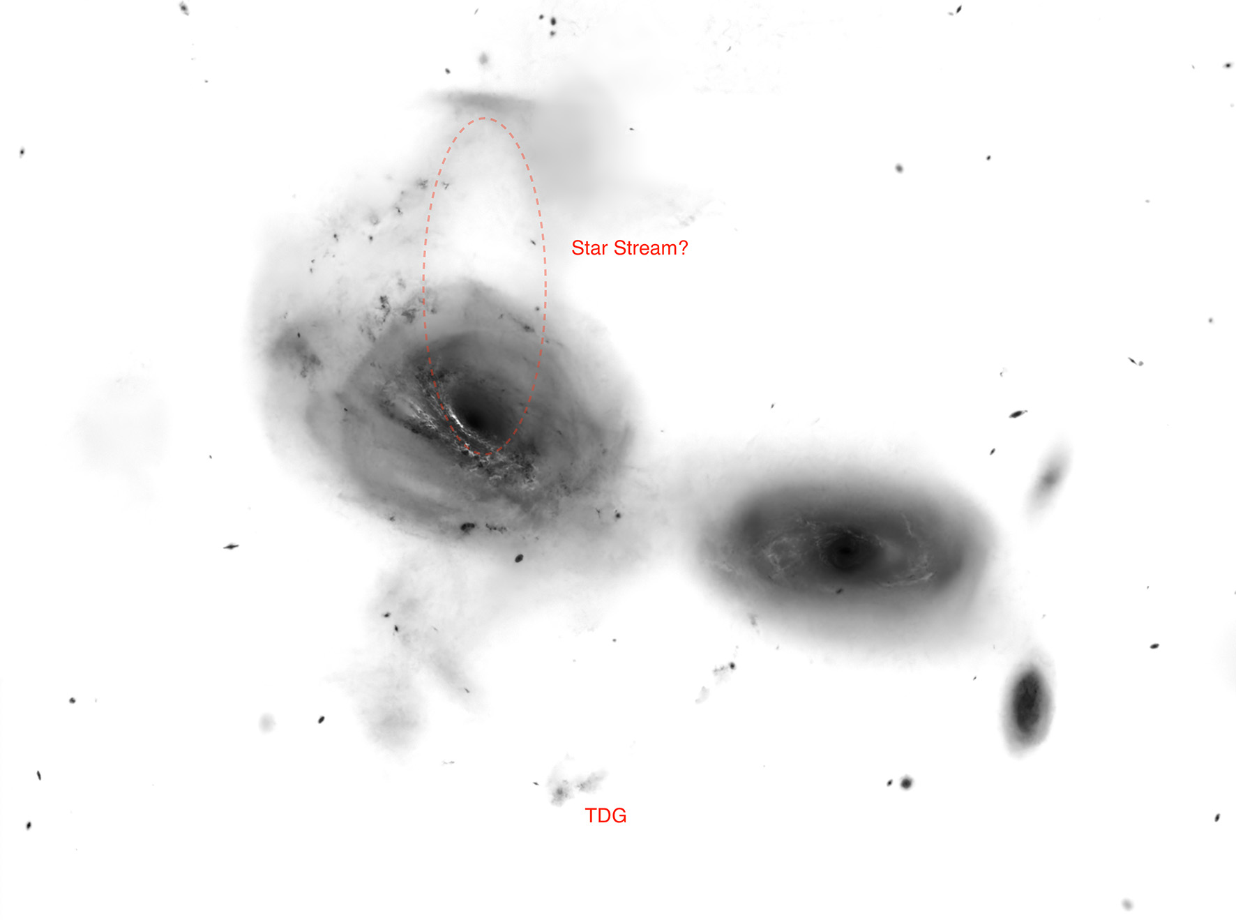 NGC3166_20260418_starless_invert-marked1.jpg