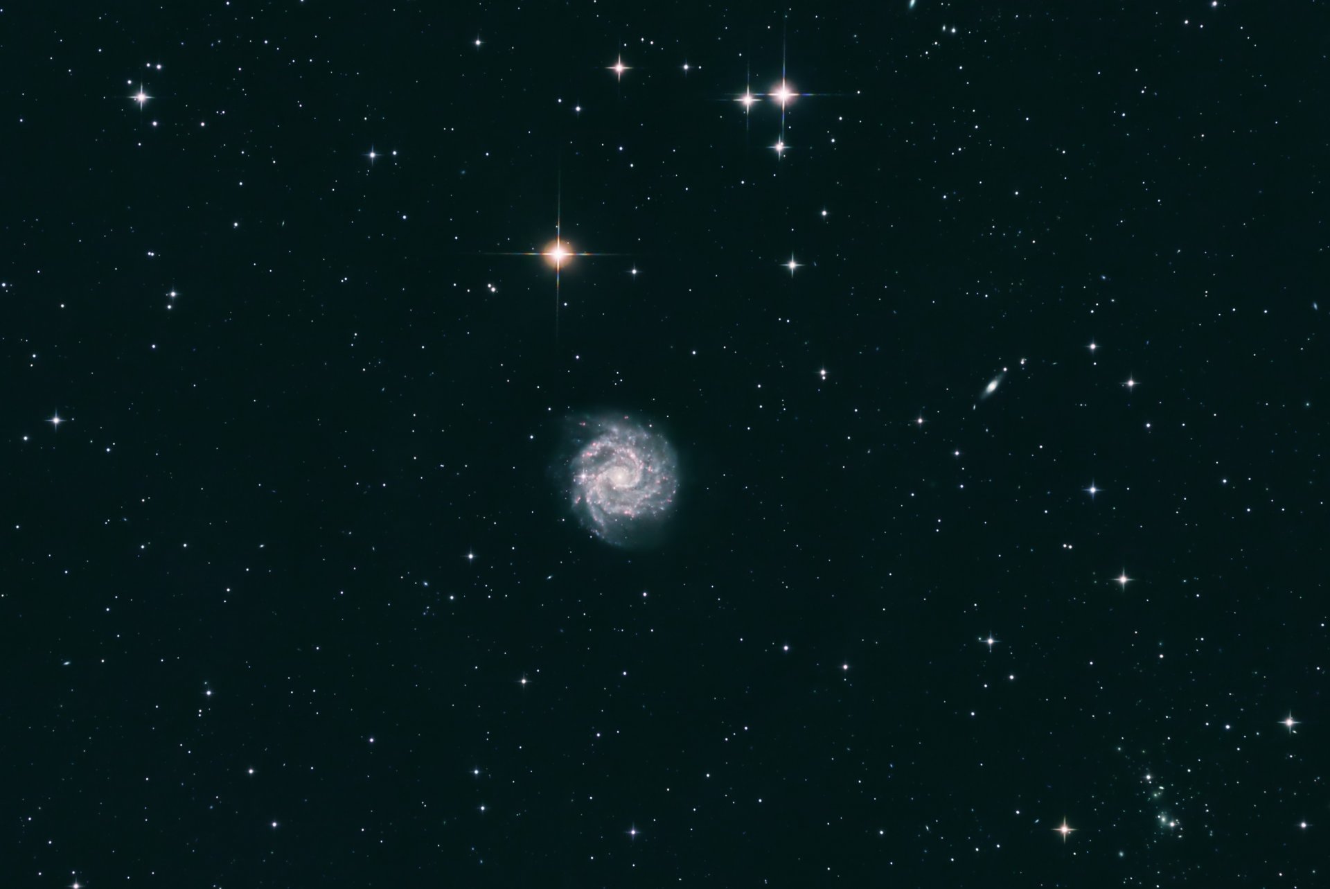 NGC3184.jpg