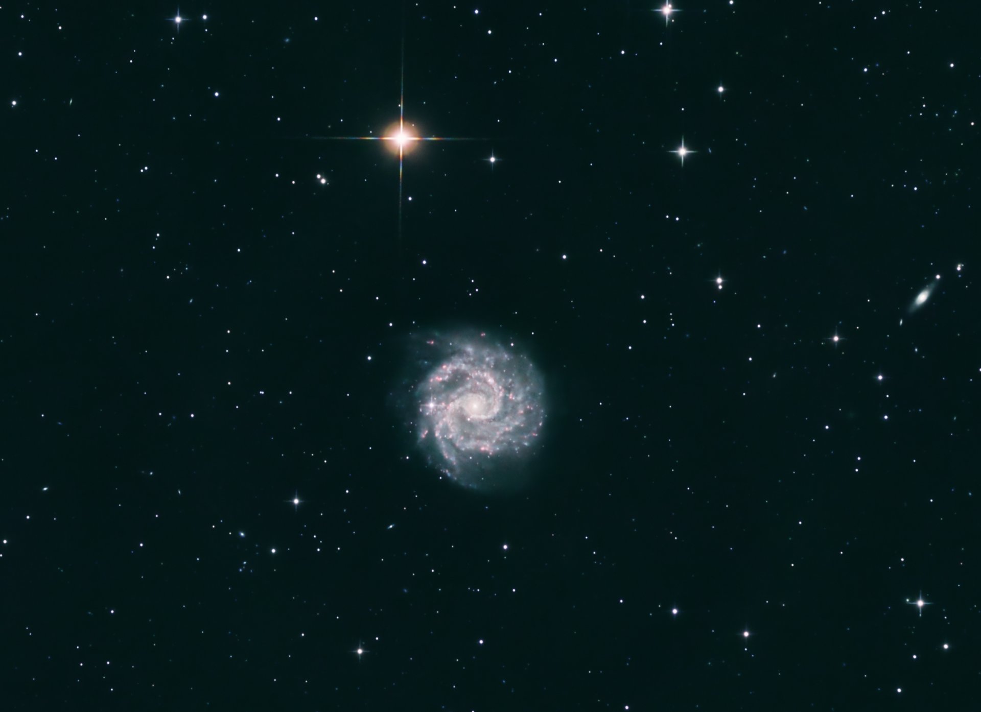 NGC3184_crop.jpg