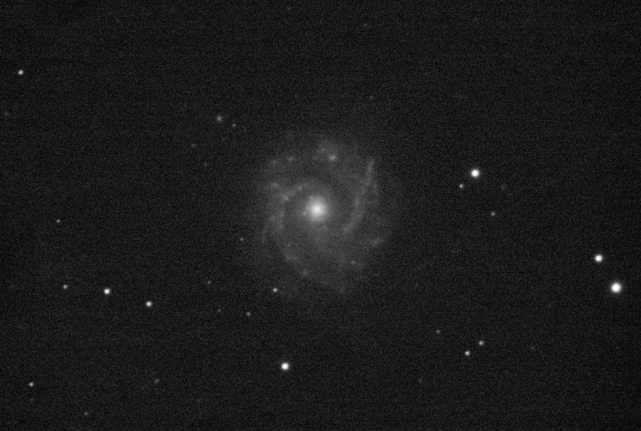 NGC3631 C8f7ASI178MM_38frames_608s_cropresized.jpg