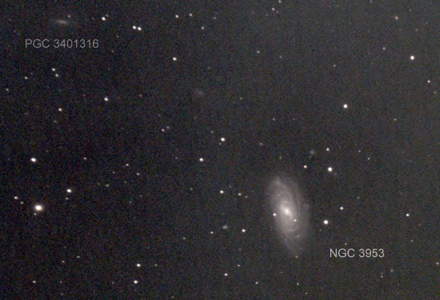 NGC3953 C8f7 ASI294bin2_42frames_672s_cropresized.jpg