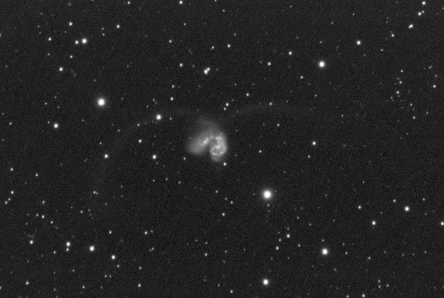 NGC4038 Apo102f4ASI178MM_66frames_1056s_cropresized.jpg