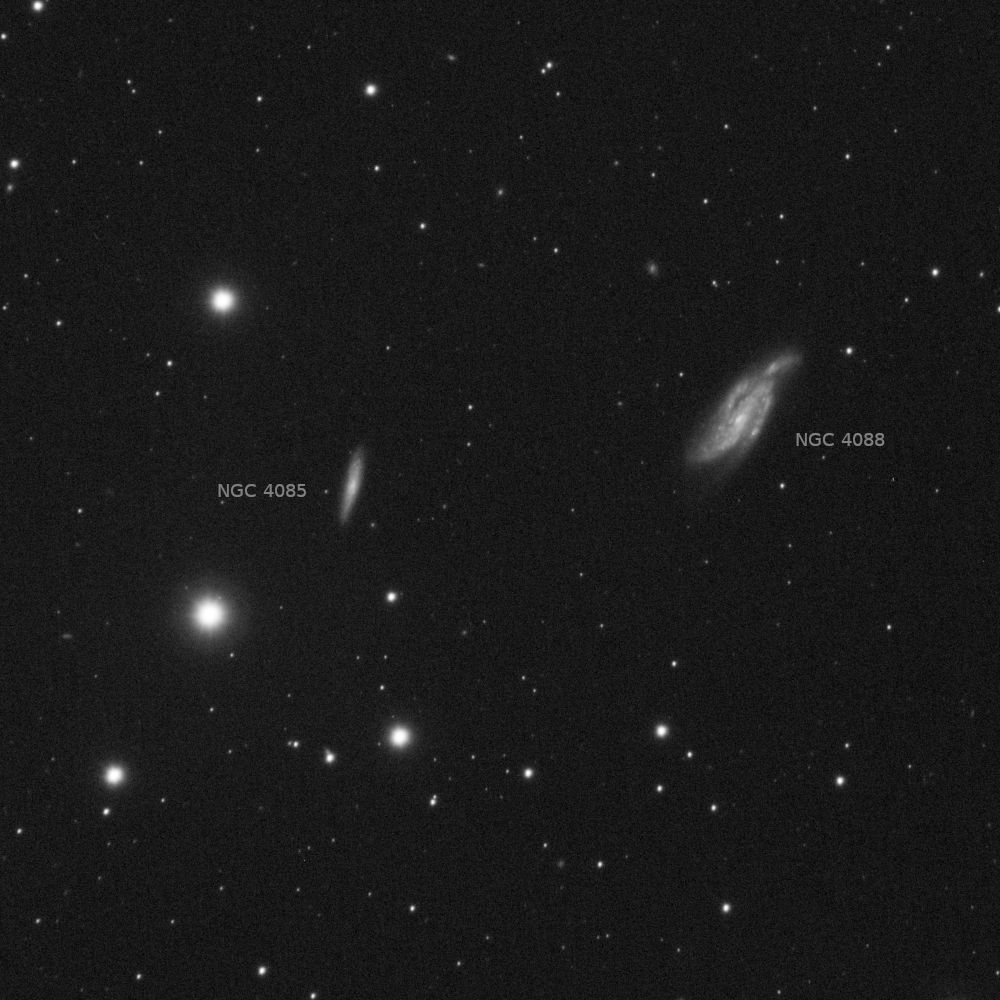 NGC4088 24x30s Apo102f4 ASI676MM gain 120 resized cropresized.jpg
