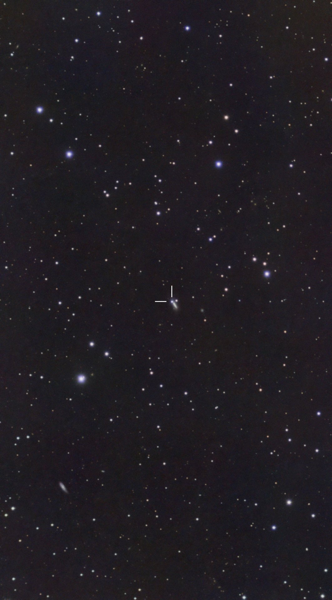 NGC4205-SN2026fvx.jpg