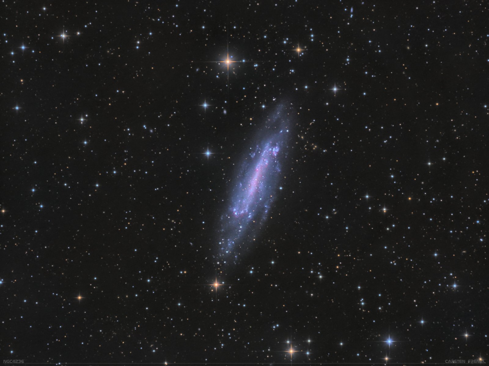 NGC4236 5.jpg