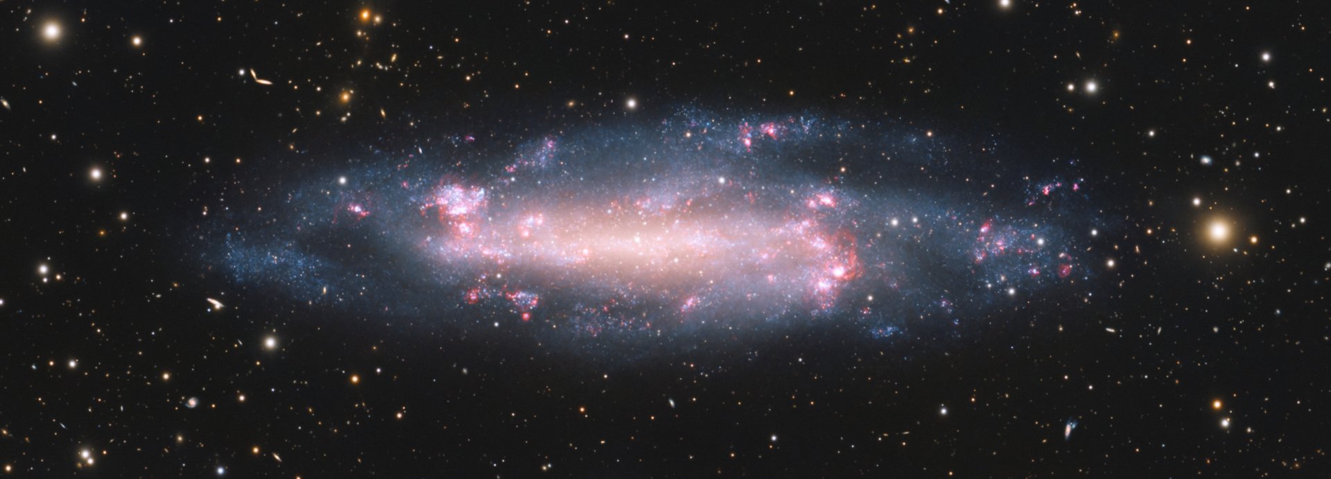 NGC4236_crop.jpg
