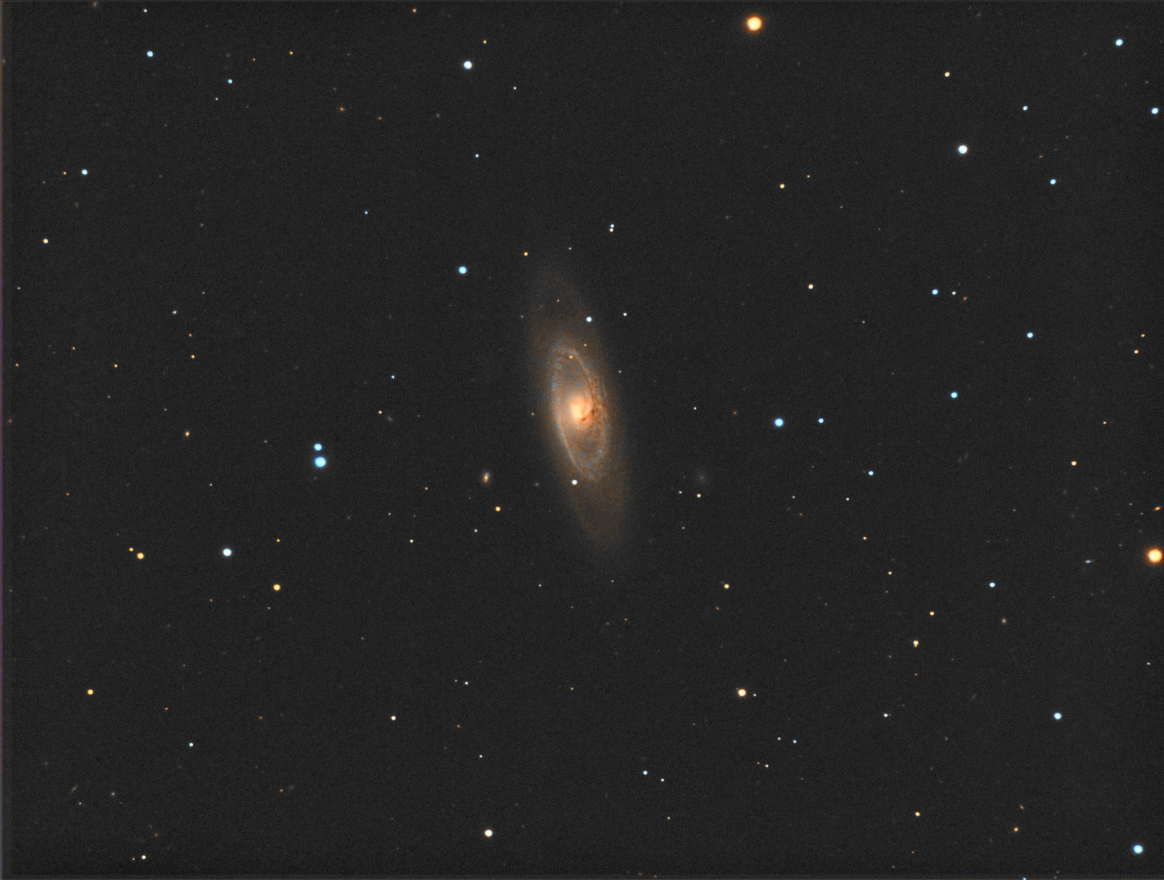 NGC4274_Dark_Flat_RGB_Align_RunMean_BG_pLRGB2_gray_usm.png